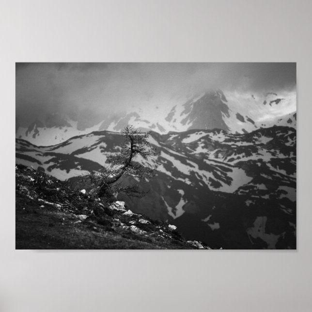 Póster Árbol solitario con impresionantes vistas a las mo (Frente)