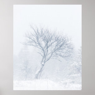 Póster Árbol solitario durante tormenta de nieve en invie
