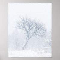 Árbol solitario durante tormenta de nieve en invie
