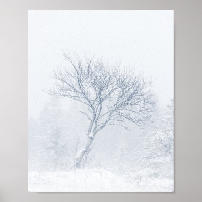 Póster Árbol solitario durante tormenta de nieve en invie (Frente)