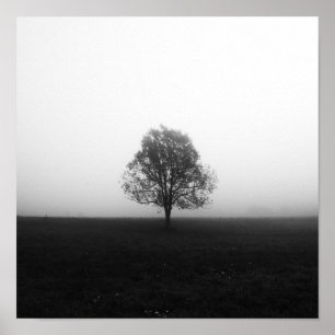 Póster Árbol solitario en niebla blanco y negro