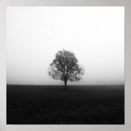 Póster Árbol solitario en niebla negro y blanco