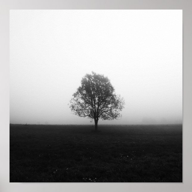 Póster Árbol solitario en niebla negro y blanco (Frente)