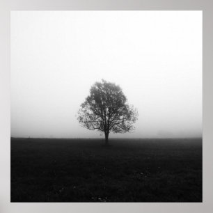 Póster Árbol solitario en niebla negro y blanco