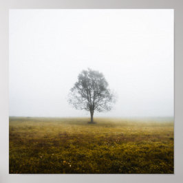 Póster Árbol solitario en una neblina mañana de otoño