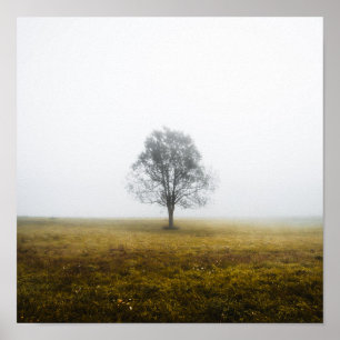 Póster Árbol solitario en una neblinosa mañana de otoño