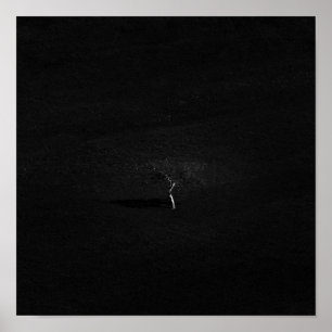 Póster Árbol solitario minimalista en blanco y negro