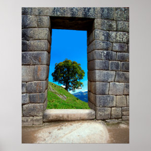 PÓSTER ÁRBOL ÚNICO DE MACHU PICHU