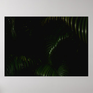 PÓSTER ÁRBOL VERDE