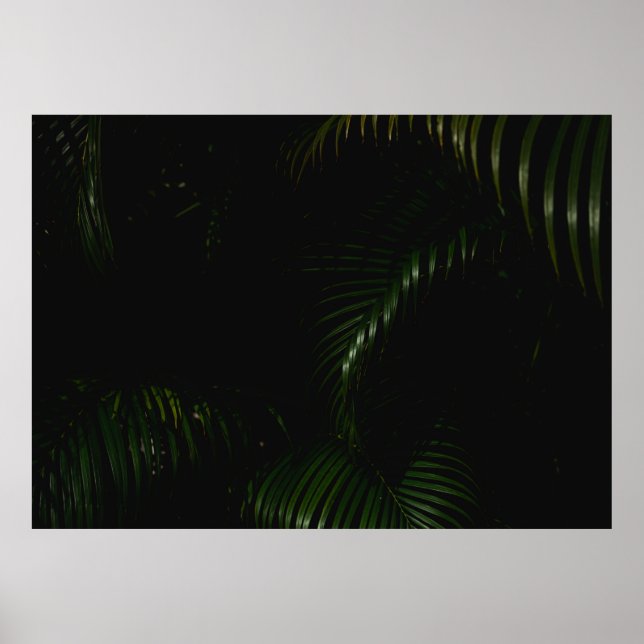 PÓSTER ÁRBOL VERDE (Frente)