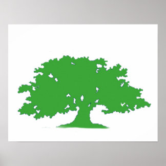 Póster Árbol verde
