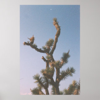 PÓSTER ÁRBOL VERDE Y MARRÓN BAJO CIELO AZUL