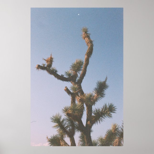 PÓSTER ÁRBOL VERDE Y MARRÓN BAJO CIELO AZUL (Frente)