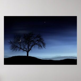 Póster Árbol y luna