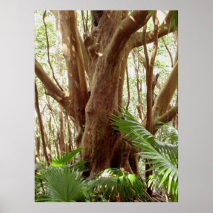 Póster Árbol y palmas de la guayaba de fresa