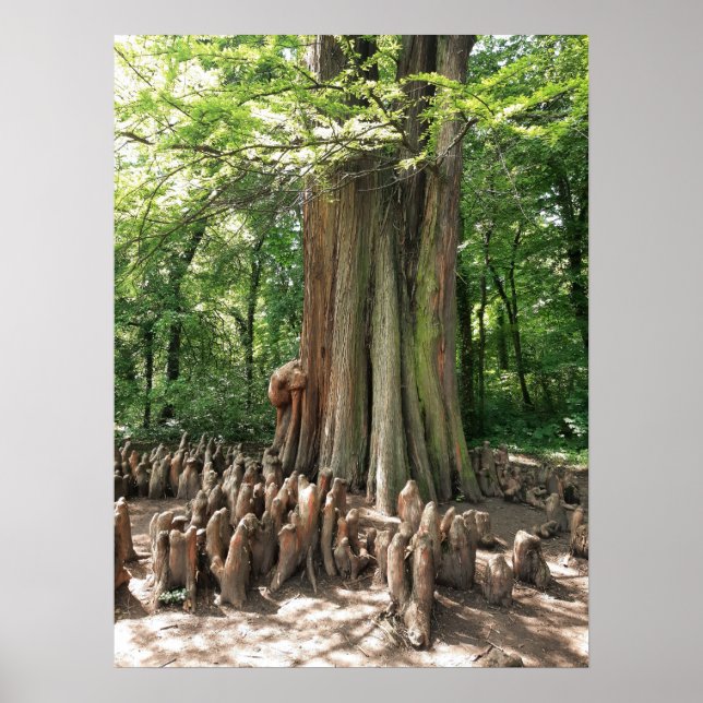 Póster Árbol y raíces (Frente)