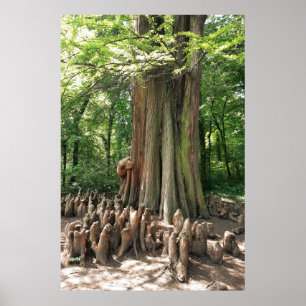 Póster Árbol y raíces