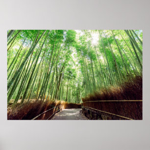 Póster Arboleda de bambú el   Arashiyama, Kyoto, Japón