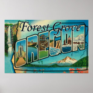 Póster Arboleda del bosque, Oregon - escenas grandes de