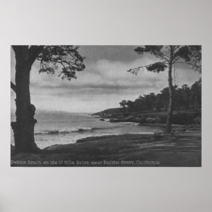 Póster Arboleda pacífica, CA - Pebble Beach en 17 millas