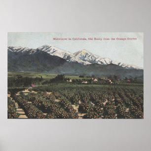 Póster Arboledas anaranjadas con Baldy viejo Mt en