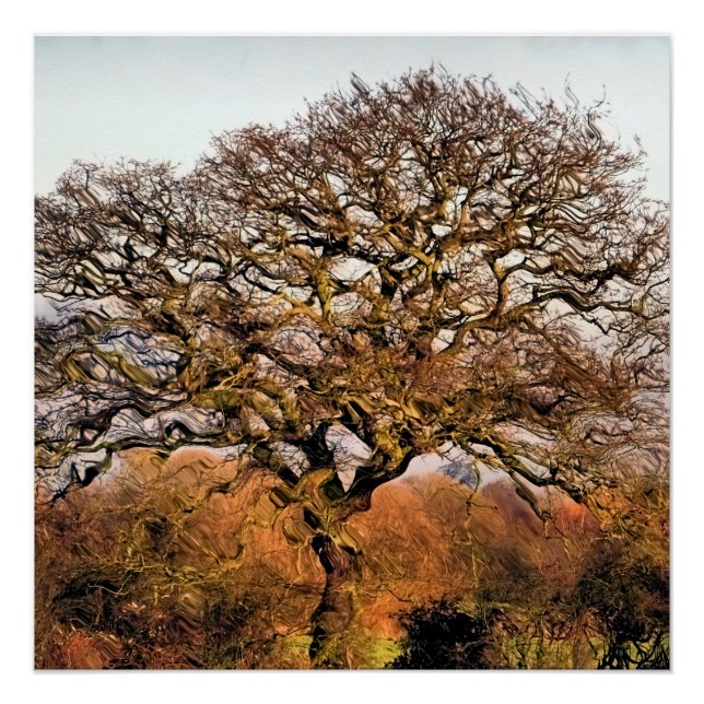 PÓSTER ÁRBOLES (Anverso)