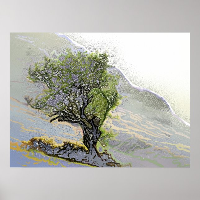 PÓSTER ÁRBOLES (Frente)