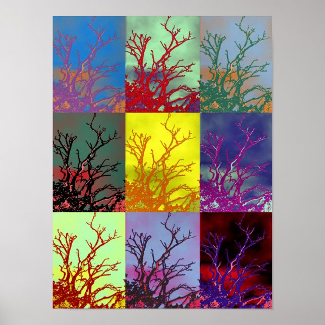 PÓSTER ÁRBOLES (Frente)