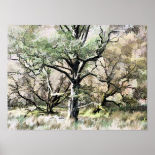PÓSTER ÁRBOLES