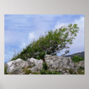 PÓSTER ÁRBOLES