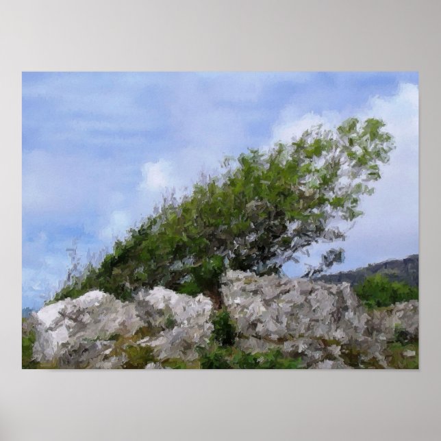 PÓSTER ÁRBOLES (Frente)