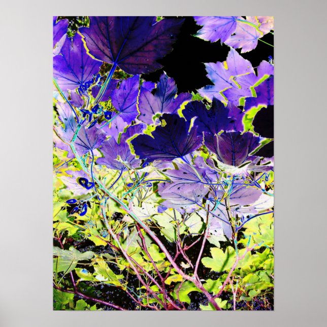 PÓSTER ÁRBOLES (Frente)