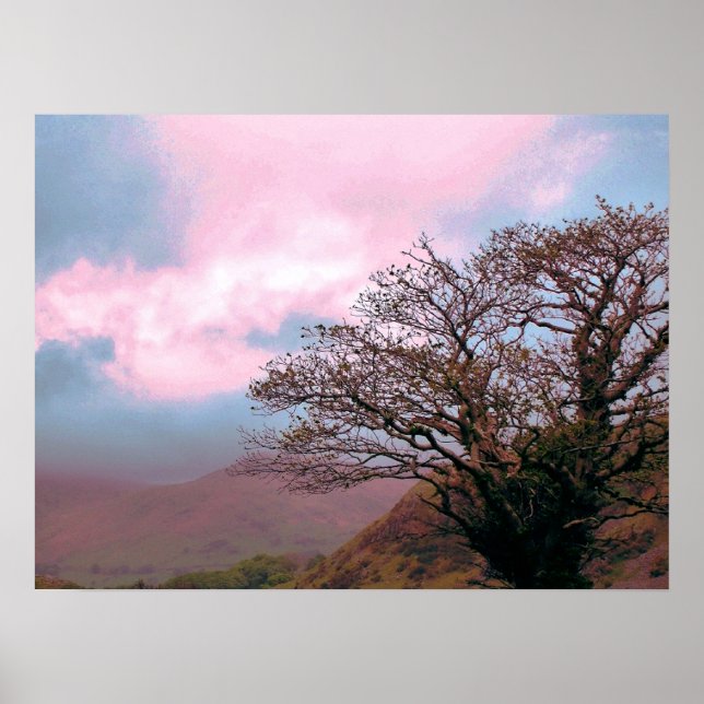 PÓSTER ÁRBOLES (Frente)