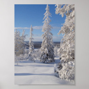 Póster Árboles 1 de la montaña