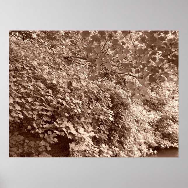 Póster Árboles a orillas del Canal (Frente)