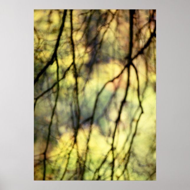 Póster Árboles abstractos (Frente)