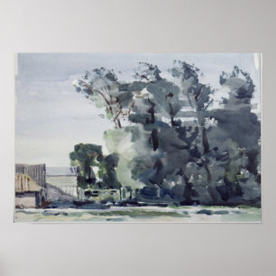 Póster Árboles - Amanecer