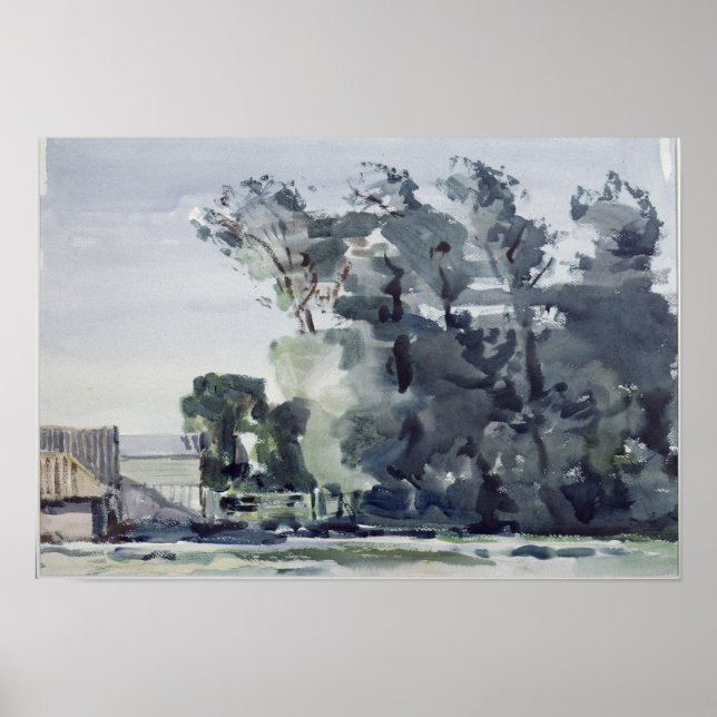 Póster Árboles - Amanecer (Frente)