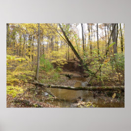 Póster Árboles amarillos otoñales en la corriente