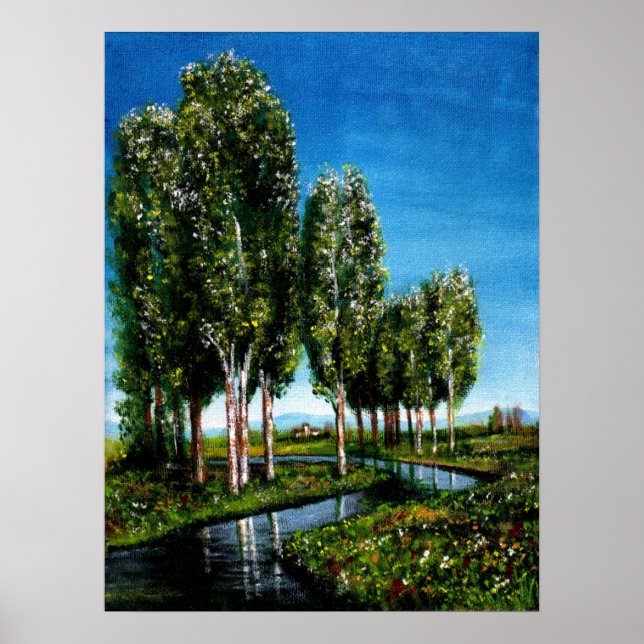 PÓSTER ÁRBOLES BIRCH EN TOSCANA (Frente)