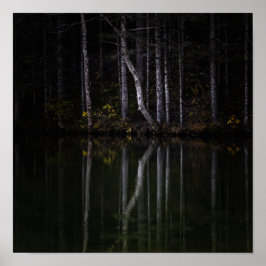 Póster Árboles blancos reflejando en el lago