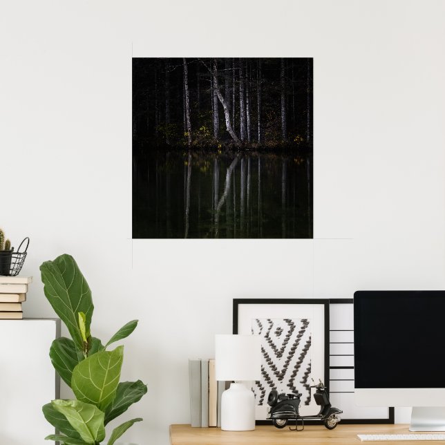 Póster Árboles blancos reflejándose en el lago (Oficina en casa)