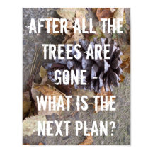 Árboles Bosques Conservación Tierra Cambio climáti