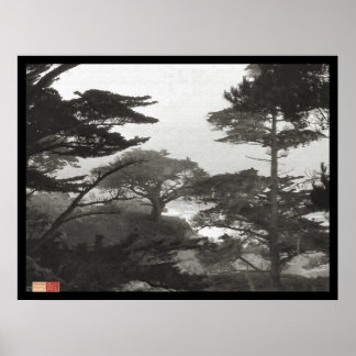 Póster Árboles - Carmel en el mar, California