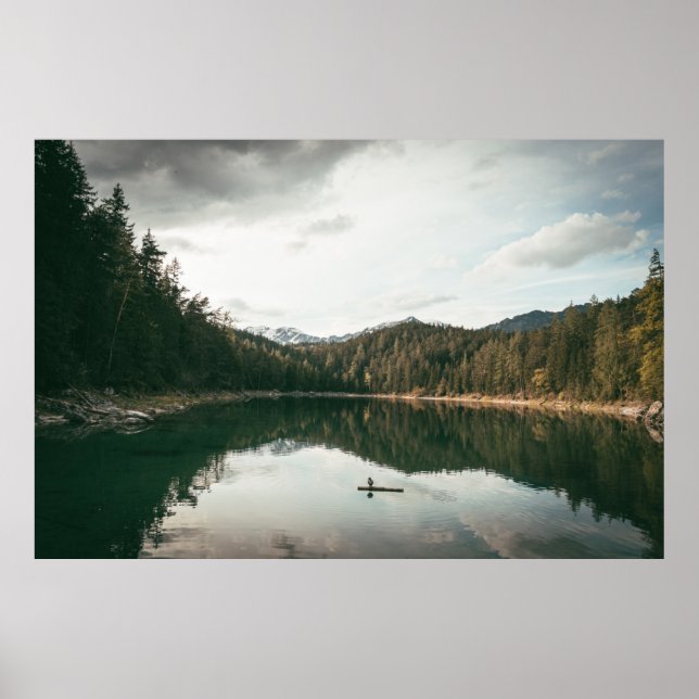 PÓSTER ÁRBOLES CERCA DEL CUERPO DEL AGUA DURANTE EL DÍA (Frente)