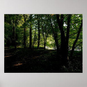 Póster Árboles cerca del río