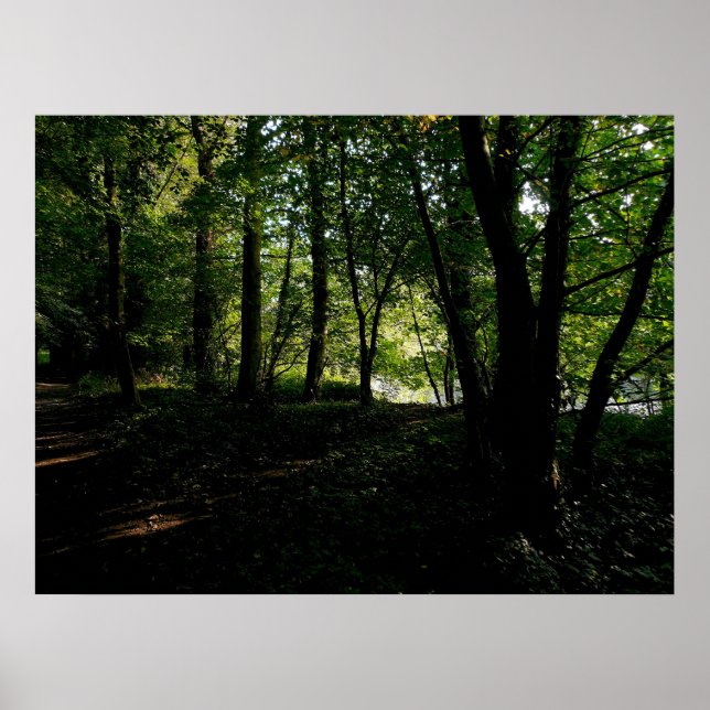 Póster Árboles cerca del río (Frente)