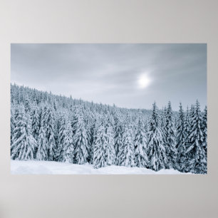 PÓSTER ÁRBOLES CUBIERTOS DE NIEVE DURANTE EL DÍA