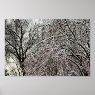 Póster Árboles cubiertos de nieve, Ohio