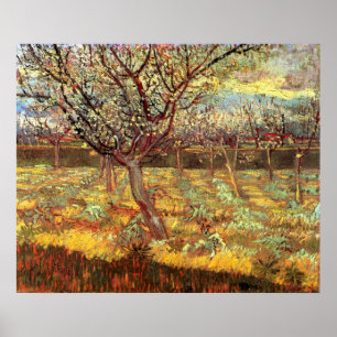 Póster Árboles de albaricoque en flor, por Vincent van Go